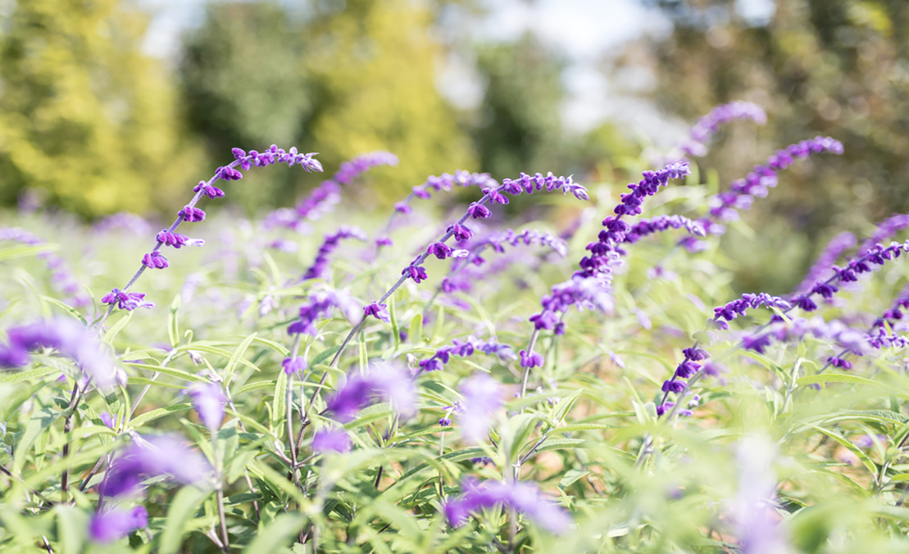 쾌적한 에코라이프